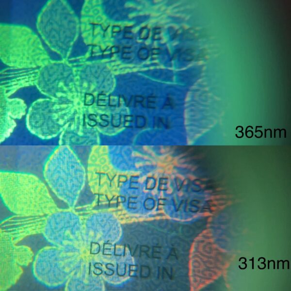 Pre Sale 15x Magnifier DXQ Basic and Pro