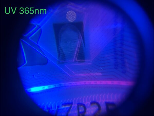 Pre Sale 15x Magnifier DXQ Basic and Pro