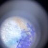 300x - 350x Phone-to-Microscope