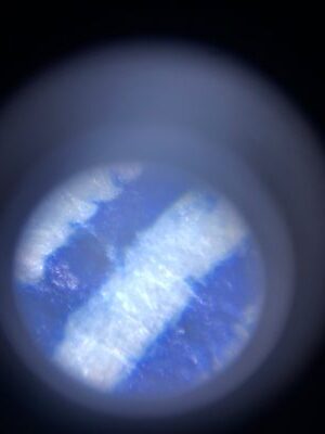 300x - 350x Phone-to-Microscope