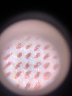 300x - 350x Phone-to-Microscope